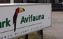 Nieuw: spannende nachtsafari in Vogelpark Avifauna